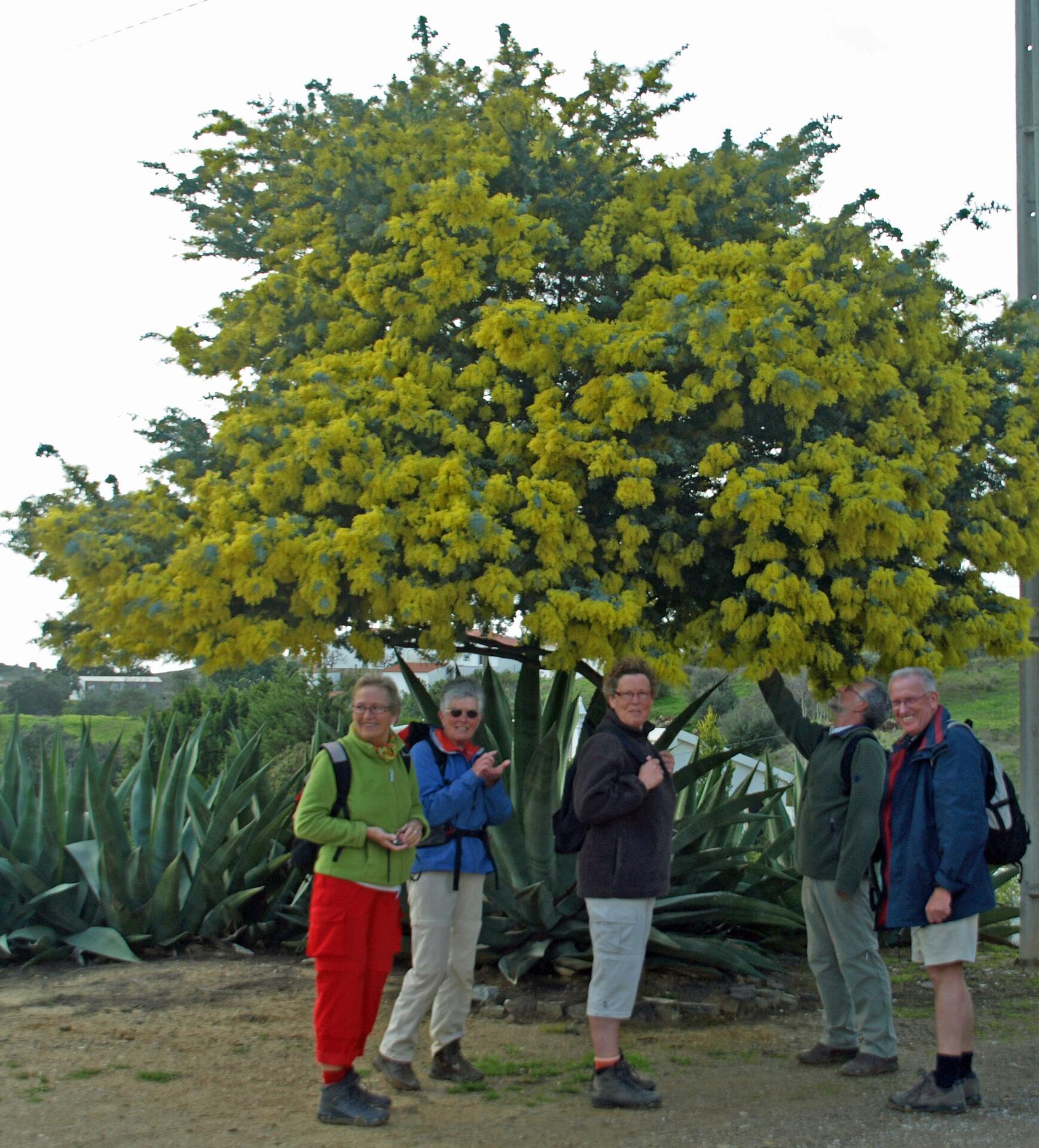PR1 Corte Antonio Martins boven VN de Cacela